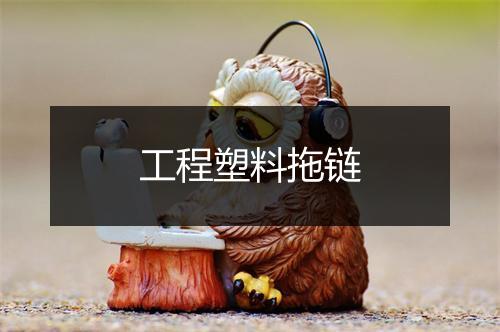 工程塑料拖链