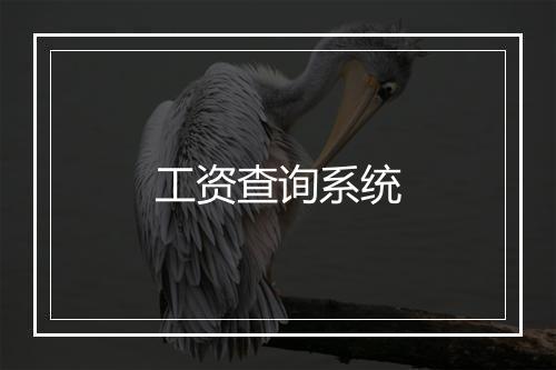 工资查询系统