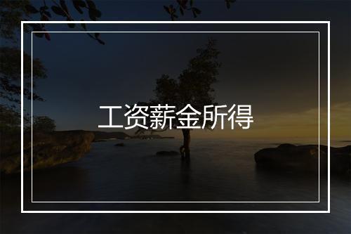 工资薪金所得