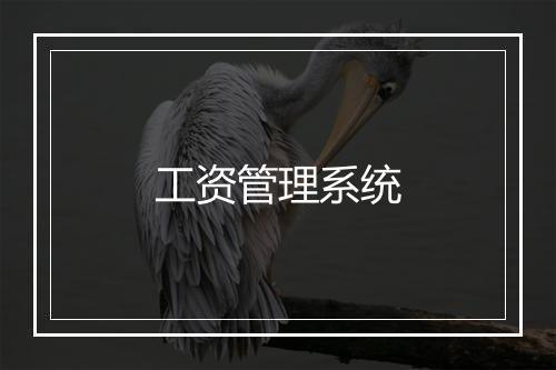 工资管理系统