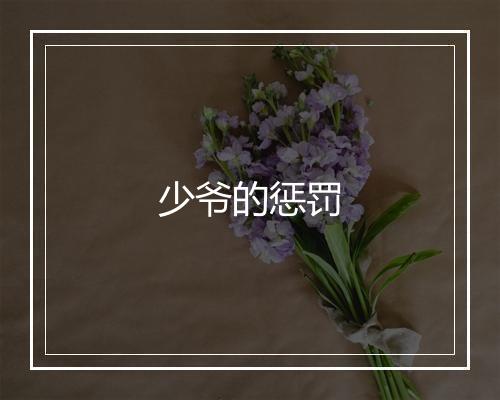 少爷的惩罚