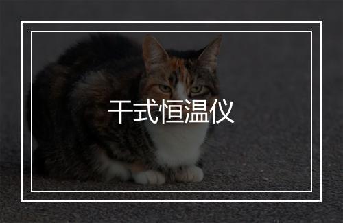 干式恒温仪