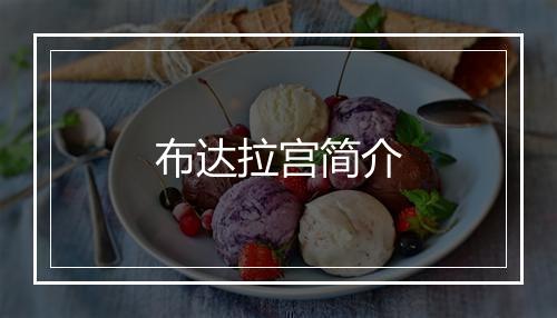 布达拉宫简介