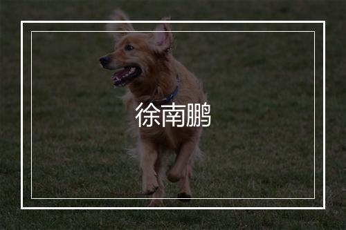 徐南鹏