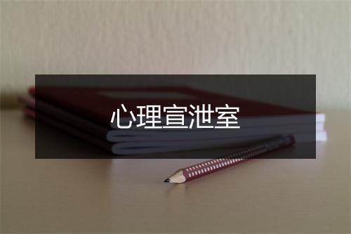 心理宣泄室