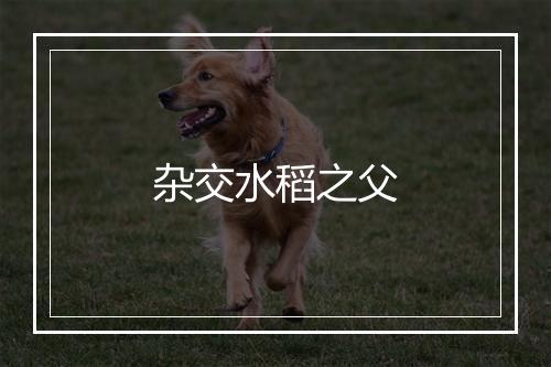 杂交水稻之父