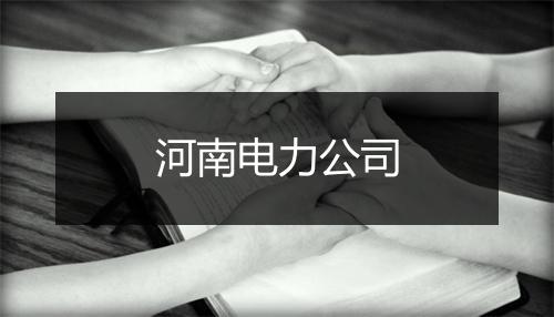 河南电力公司