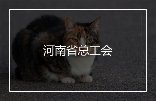 河南省总工会