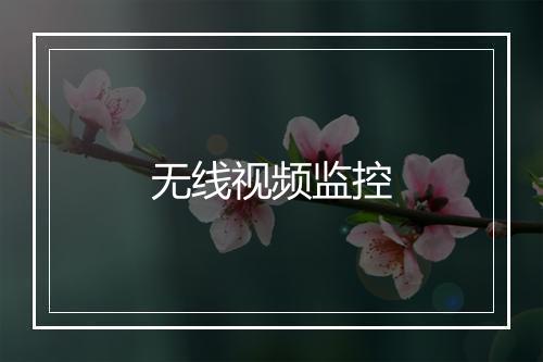 无线视频监控