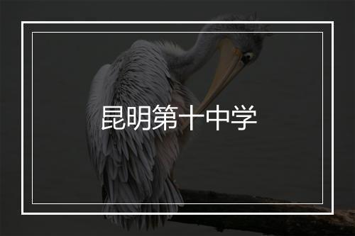 昆明第十中学