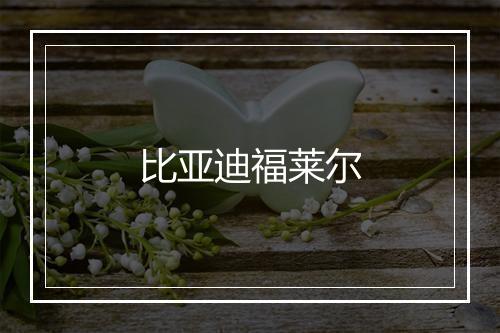 比亚迪福莱尔