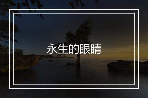 永生的眼睛