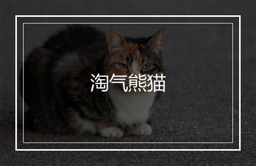 淘气熊猫