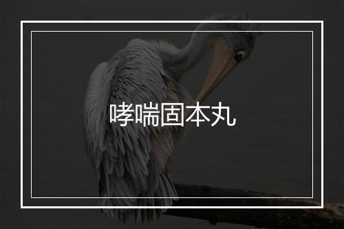 哮喘固本丸