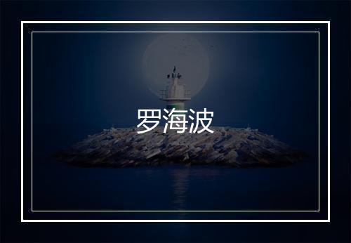 罗海波