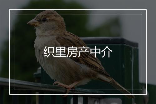 织里房产中介