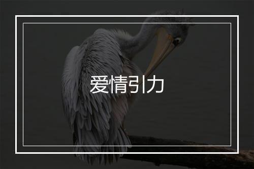 爱情引力