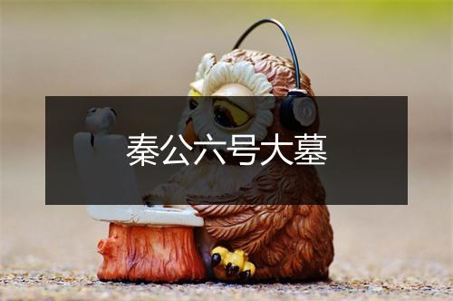 秦公六号大墓