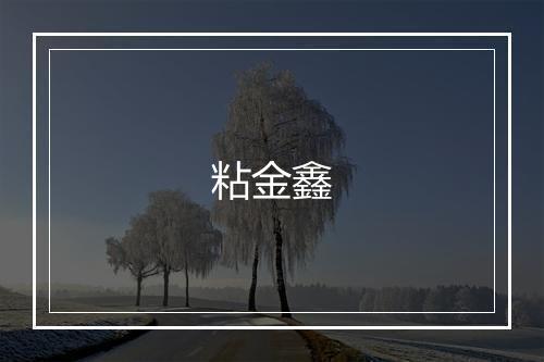 粘金鑫