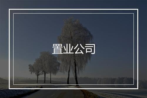 置业公司