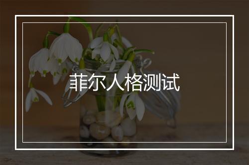 菲尔人格测试