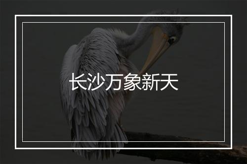 长沙万象新天