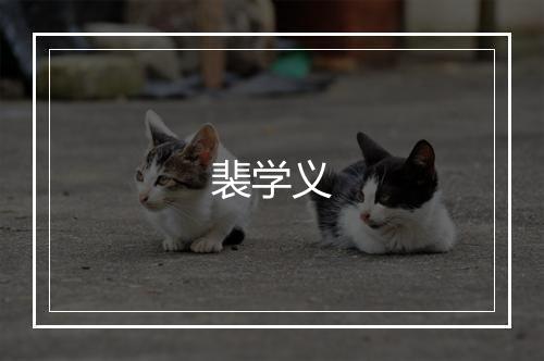 裴学义