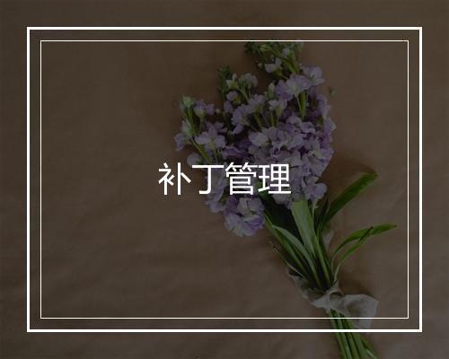 补丁管理