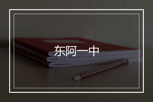 东阿一中