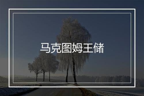 马克图姆王储