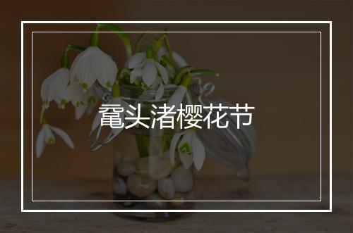 鼋头渚樱花节