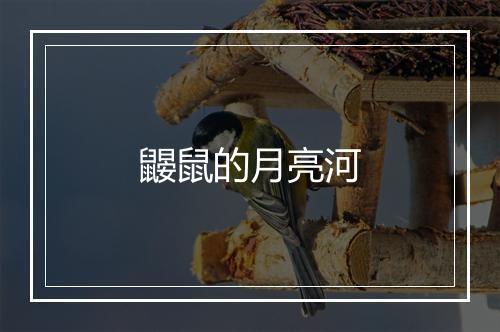 鼹鼠的月亮河