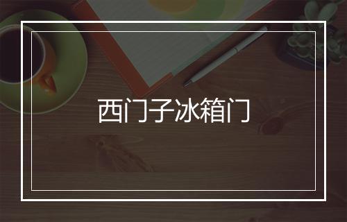 西门子冰箱门