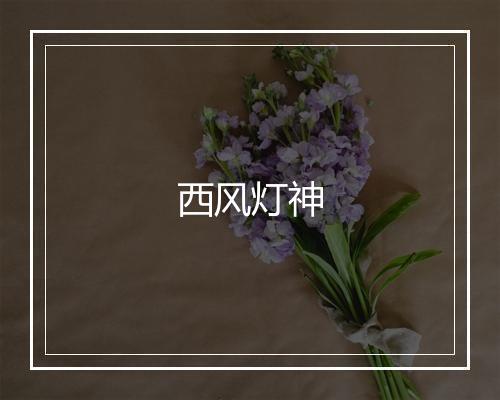 西风灯神