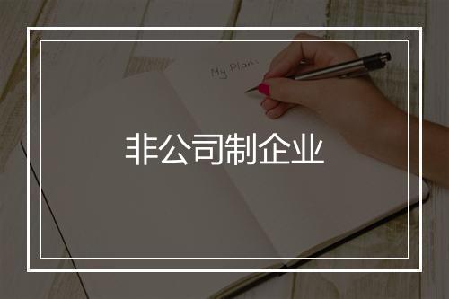 非公司制企业