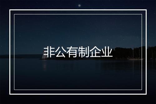 非公有制企业