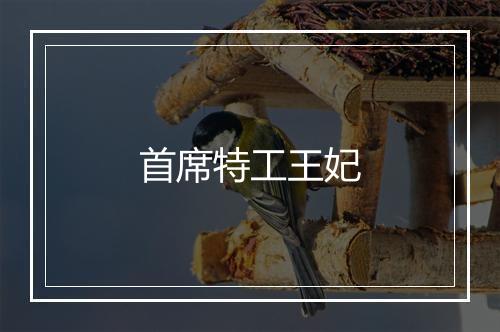 首席特工王妃