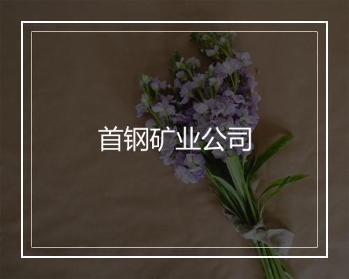 首钢矿业公司