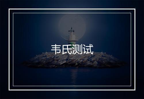 韦氏测试