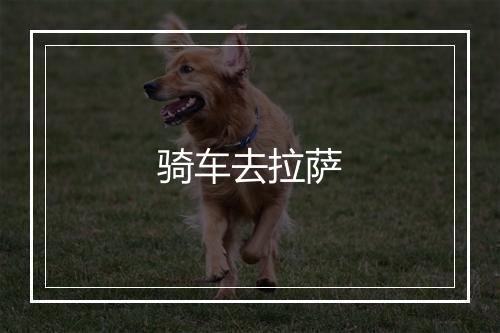 骑车去拉萨