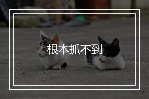 根本抓不到