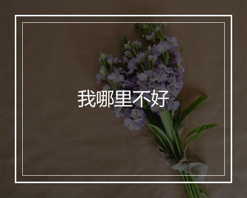 我哪里不好