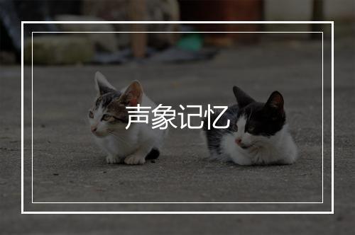 声象记忆