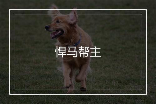 悍马帮主