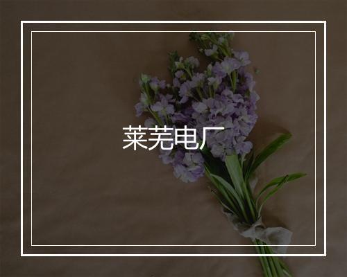 莱芜电厂