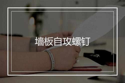 墙板自攻螺钉