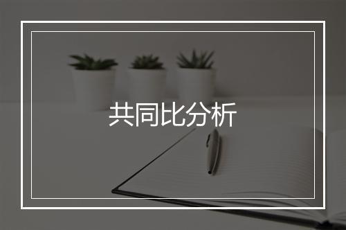 共同比分析