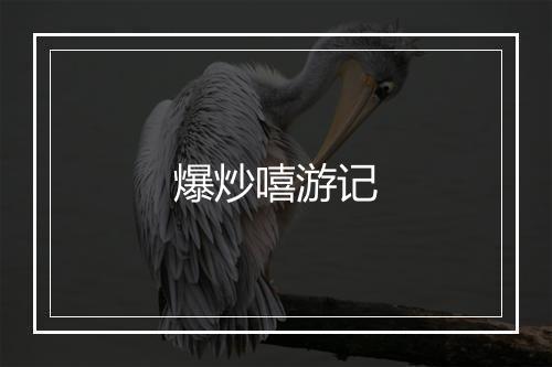 爆炒嘻游记