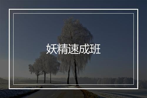 妖精速成班