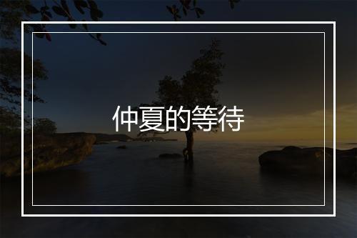 仲夏的等待